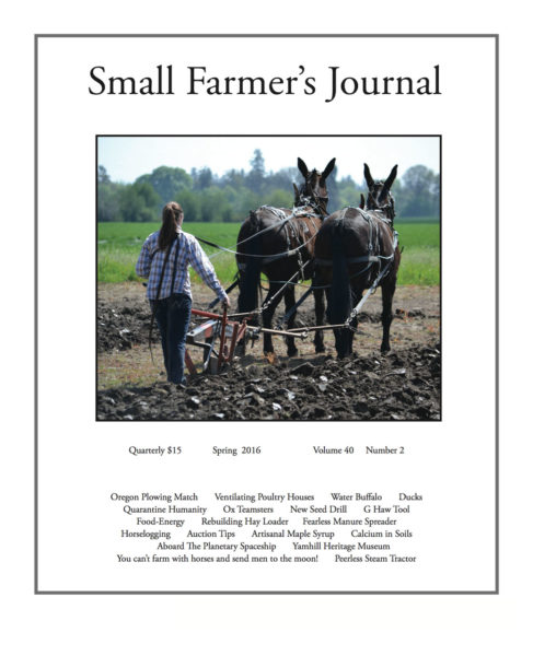 Instructional Article